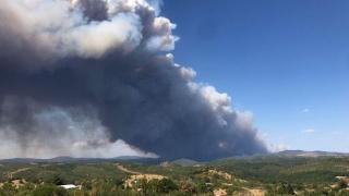 Εντοπίστηκαν 18 νεκροί μετανάστες κοντά στο δάσος της Δαδιάς 
