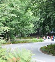 H συμμετοχή της KRT στο 48ο ράλλυ ΔΕΘ, στα βουνά του Πολύγυρου.