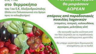 Γιορτή σπόρων και παραδοσιακών ποικιλιών στην Αλεξανδρούπολη
