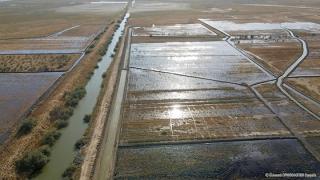 Αγορά και αποκατάσταση υποβαθμισμένων εκτάσεων στο Δέλτα του Έβρου για τη σωτηρία της Νανόχηνας