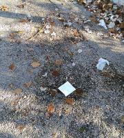 Σε σκουπιδότοπο μετατράπηκε το πάρκινγκ του Δημοτικού Camping Αλεξ/πολης (φωτογραφίες)