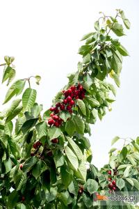 Εμείς πάντως, θα συνεχίσουμε να κρατάμε μικρό καλάθι.