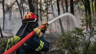 Σαμοθράκη: Πρόσληψη 6 ατόμων ενόψει της αντιπυρικής περιόδου