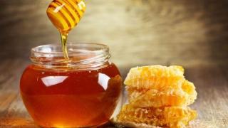 Έρχεται η 17η Γιορτή Μελισσοκόμων και Καλλιεργητών Έβρου