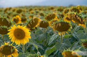 Όπως 'χαθήκαμε' στην περιοχή της Συκοράχης.