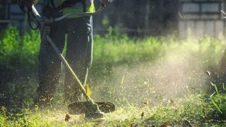 Να καθαρίσουν τα οικόπεδά τους καλεί τους ιδιοκτήτες ο Δήμος Σουφλίου