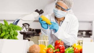 Ιδρύεται Πανεπιστημιακό Τμήμα Τεχνολογίας και Επιστήμης Τροφίμων στο Σουφλί!
