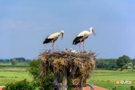 Leylek köyü (Poros)