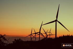 Leptokarya'da rüzgar türbinli orman