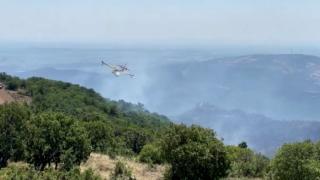 Σε ύφεση η φωτιά στο Εθνικό Πάρκο Δαδιάς