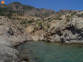 Κόλπος στην Παχιά Άμμο, παρέα με τις μοναδικές φώκιες monahus monahus.