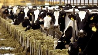 Yπ. Εξωτερικών: Επίσημη δήλωση για την Οζώδη Δερματίτιδα.