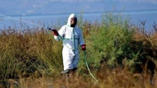 Περιφερειακή Σύνθεση: «Τα κουνούπια βασανίζουν τους πολίτες και ο Περιφερειάρχης κάνει... δηλώσεις»