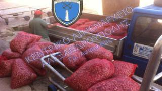 1.827 κιλά όστρακα κατέσχεσε η ασφάλεια του Λιμεναρχείου.