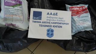 350 κιλά φυτοφάρμακα βρέθηκαν σε 53χρονο Έλληνα στο τελωνείο Κήπων