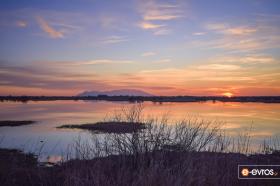 Στον υδροβιότοπο λίγα χιλιόμετρα έξω από την Άνθεια, στην Αλεξανδρούπολη