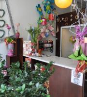 Flowers - Plants