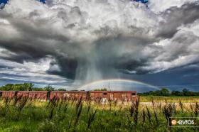 Η οργιάζουσα φύση στο σταθμό του ΟΣΕ, στην Ορεστιάδα