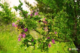 "Πόσο όμορφα είναι, όταν μπαίνει ο Μάης".