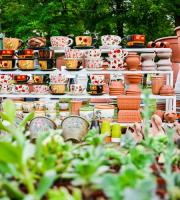 Ξεκίνησε το Hellenic Green Festival στην Αλεξανδρούπολη.