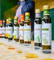 Ξεκίνησε το Hellenic Green Festival στην Αλεξανδρούπολη.