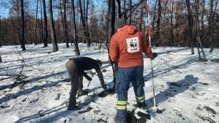 WWF Ελλάς: Μελέτη για ένα ζωντανό και ανθεκτικό δάσος στον Έβρο