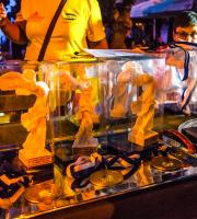 Με μεγάλη επιτυχία ολοκληρώθηκε η 1η μέρα του 3ου Φεστιβάλ Via Egnatia