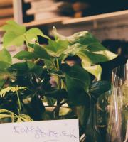 Φωτορεπορτάζ από τα εγκαίνια του Alta Moda, στην Αλεξανδρούπολη