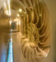 Μια μέρα αφιερωμένη στην ομορφιά, την ευεξία και την άσκηση ήταν η Κυριακή στο Thalasso & Wellness Spa