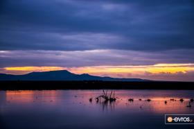  Evros Deltası'nda günün şafağında