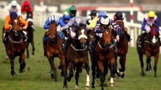 Στοίχημα στις ιπποδρομίες: Οδηγός επιτυχίας για την επιλογή νικητήριων αλόγων