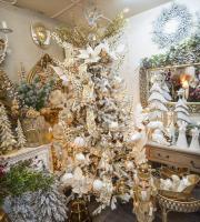 Hediye & Ev Dekorasyonu