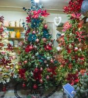 Hediye & Ev Dekorasyonu