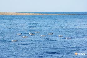 "Ακριβώς κάτω από τον Φάρο, στο λιμάνι της Αλεξανδρούπολης."