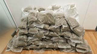 Επιχείρηση υψηλής ακρίβειας από την Αλεξανδρούπολη – 50+ κιλά κάνναβης στη Θεσσαλονίκη