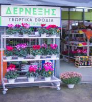 Πήγαμε στα εγκαίνια της "Δερνεξής - Γεωργικά εφόδια", στη Ν. Χιλή Αλεξανδρούπολης