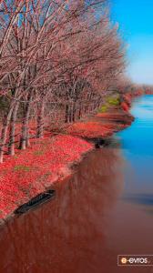 Dimetoka kırmızı nehri