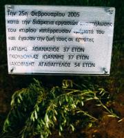 Στον προαύλιο χώρο εις μνήμη των νεκρών.