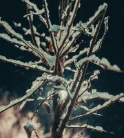 Κινηματογραφικά τοπία στην χιονισμένη Αλεξανδρούπολη τη νύχτα