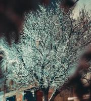 Κινηματογραφικά τοπία στην χιονισμένη Αλεξανδρούπολη τη νύχτα