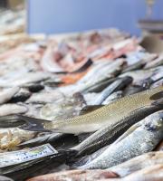 Ιχθυοπωλείο