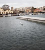 Με λαμπρότητα εορτάστηκαν τα Θεοφάνεια στον Έβρο - Αγιάστηκαν τα νερά παρά το τσουχτερό κρύο (vid & pics)