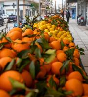 Ωποροπαντοπωλείο