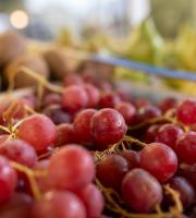 Ωποροπαντοπωλείο