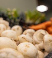 Ωποροπαντοπωλείο