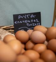 Ωποροπαντοπωλείο