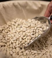 Ωποροπαντοπωλείο