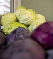 Ωποροπαντοπωλείο