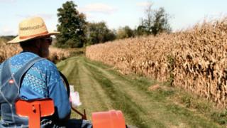 Ξεκινούν οι αιτήσεις για την ενιαία ενίσχυση 2015.