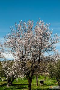 Κάπου στους ανοιξιάτικους αγρούς του Έβρου μας.